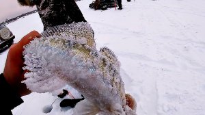 РЫБА НЕ ЛЕЗЕТ В ЛУНКУ! ЗЛЫЕ ПОКЛЁВКИ! РЫБАЛКА НА СУДАКА