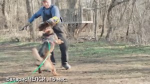 Баларис Челси, базовые тренировки по защитной работае