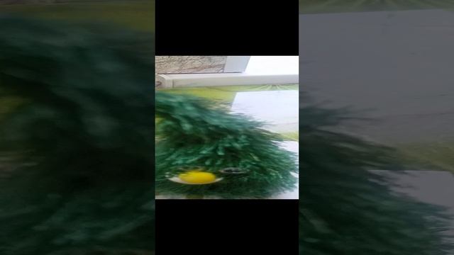 20-12-2024 юмор