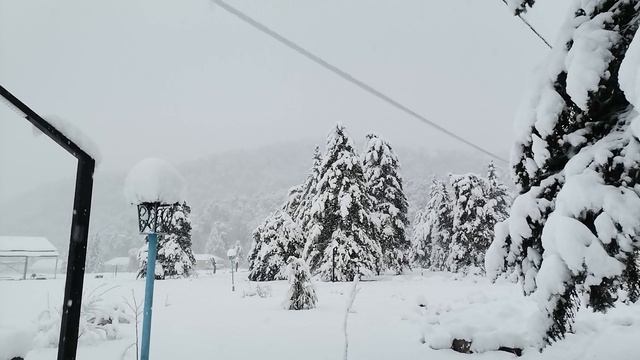 Утро 28.11.2024 г. Кавказ
