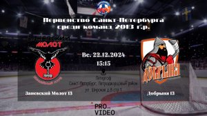 ХК "Заневский Молот" 13 - ХК "Добрыня" 13 | 22.12.2024