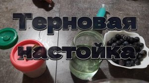 Терновая настойка