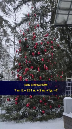 Ель в красном, полное видео уже на нашем канале!