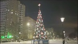 До Нового Года осталось 11 дней , Санкт Петербург