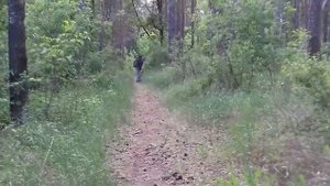 #собака встречает хозяина .