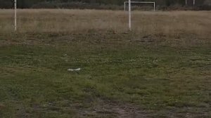 п. Зеленоборск