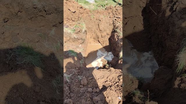 8 апреля 2024 г. смотреть онлайн