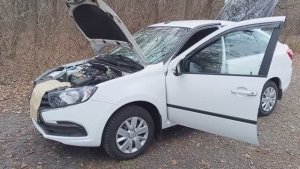 Лада Гранта ФЛ гарантийно не гарантийный случай.....