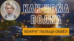 Как Хома Волка вокруг ПАЛЬЦА обвёл... 33-я СЕРИЯ