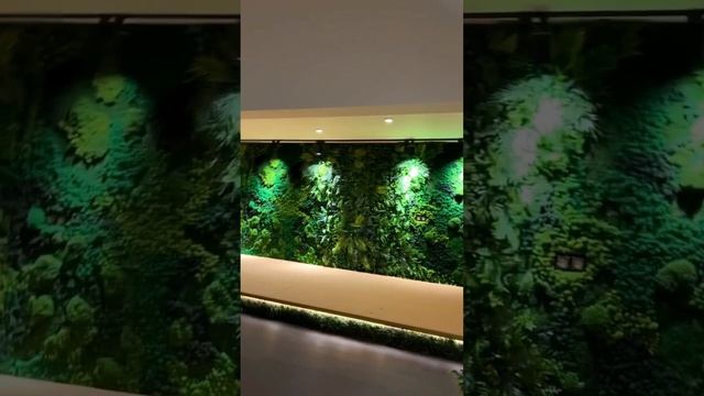 Фитостену, размером 540*220 см, установили в частном доме (в зоне кинотеатра и бара) в Москве