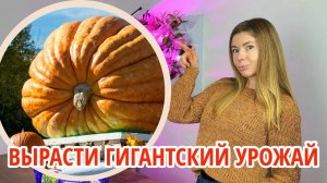 Конкурс на самый крупный урожай 🧑🌾 Выращивайте гигантов и получайте призы