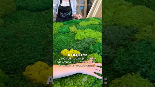 А как такой заказ не поднимет настроение?!Наш WhatsApp: +79656074796 #мох #дизайнизмха #дизайн