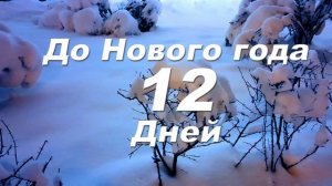 До Нового года 12 дней