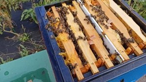 Работаем с МИНИ+