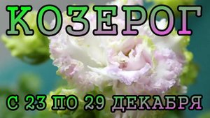 КОЗЕРОГ таро прогноз на неделю с 23 по 29 ДЕКАБРЯ 2024 года.