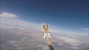 Куки в космосе! от сливки шоу