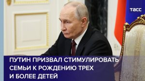 Путин призвал стимулировать семьи к рождению трех и более детей