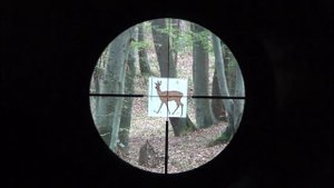 Zeiss Classic Diavari 2.5-10x50 reticle 60 | Reticle Subtension