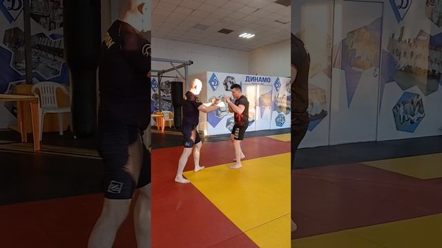 Наша Земля !