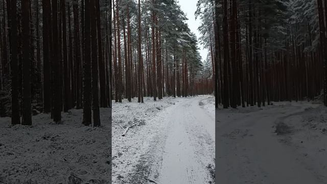Часть 3 это должен знать каждый
Мой личный опыт
