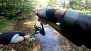 ✔ Забытые реки #8 Форель в Башкирии