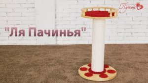 Процесс сборки комплекса «Ля Пачинья»