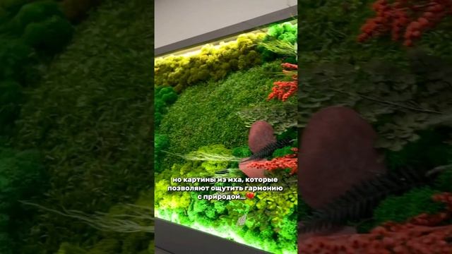 Успокоение,радость и гармония с природой-все это про картину из мхаНаполни дом уютом! +79656074796