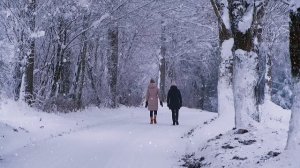 Пример автомонтажа в приложении capcut