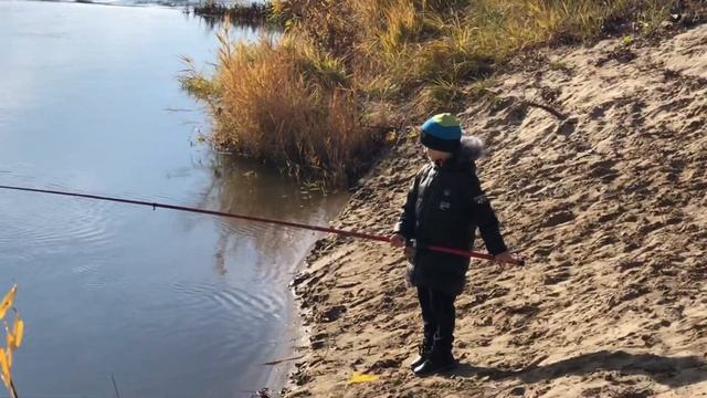 3 ноября 2023 смотреть онлайн