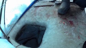 рыбалка на амуре 20.12.24