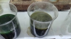 Переработка жирного материала