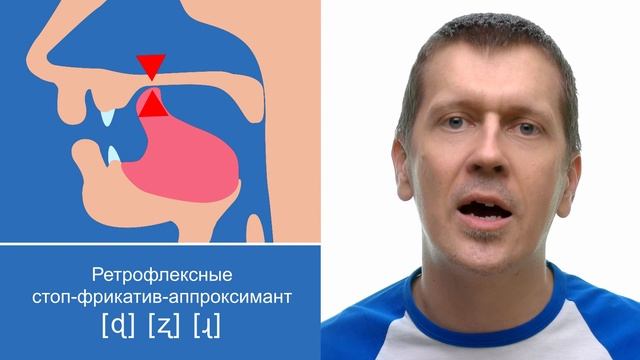 Таблица согласных звуков МФА - IPA consonant chart смотреть онлайн