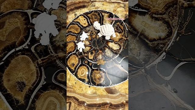 Время черепашек. Сегодня и завтра в #listmakrame Подробности- в описании💫