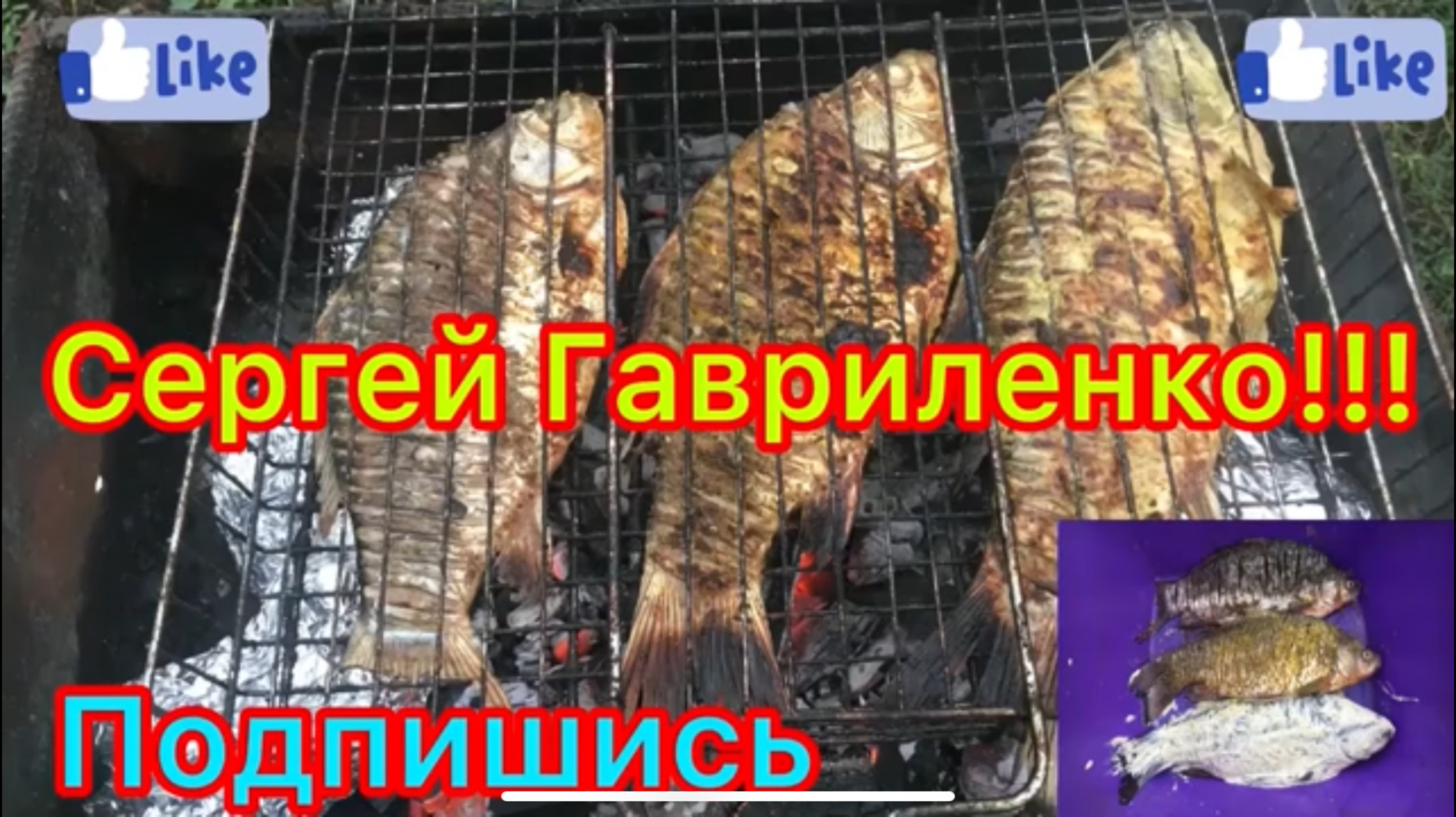 Караси на мангале/ Три разных маринада/ Картофель в фольге и запеченные овощи на углях.