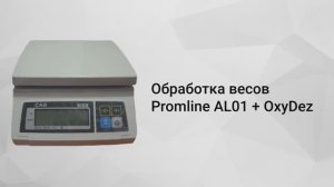 Обработка настольных весов станцией Protwin