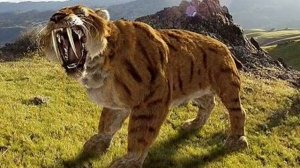 Smilodon sounds (REDONE)