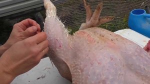 Внезапное изменение планов