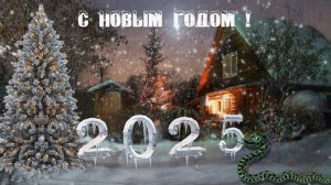 С Новым годом! С годом Змеи! Проект в ProShow Producer. Красивое поздравление