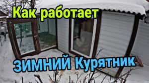 Зимнее содержание КУР. Зимний мини курятник.