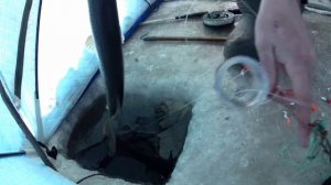 рыбалка на амуре 14.12.24