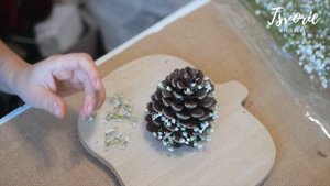 Маленькая простая ёлочка ИЗ ШИШКИ / DIY TSVORIC