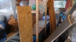 Стерлядь новый сезон.