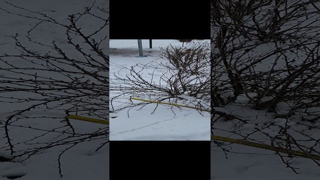 Скважина в Коломне, СНТ Победа.