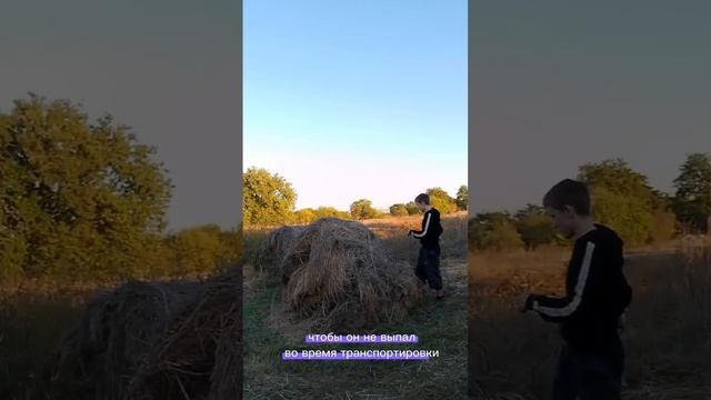 Поехал за рулонами Телега: Podrostokizderevni #сено #рулоны #солома #нива #подростокиздеревни #мтз