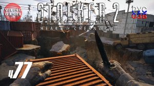 Задание в Красном лесу. S.T.A.L.K.E.R. 2: Сердце Чернобыля. Прохождение с Рус Озв. ч. 77