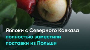 Яблоки с Северного Кавказа полностью заместили поставки из Польши