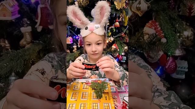 Новогодний адвент календарь. 11 дней до нового года.