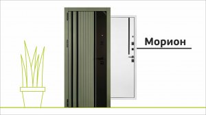 Морион / Межкомнатная дверь