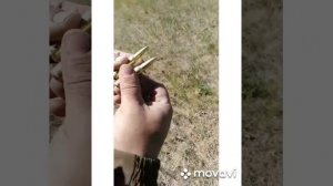 Карабин Вепрь 308 стрельба на сто метров