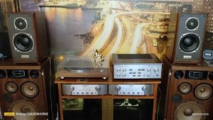 Onkyo Liverpool d-500ll